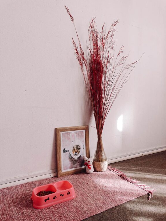 How to Create a Cozy Pet-Friendly Home Corner